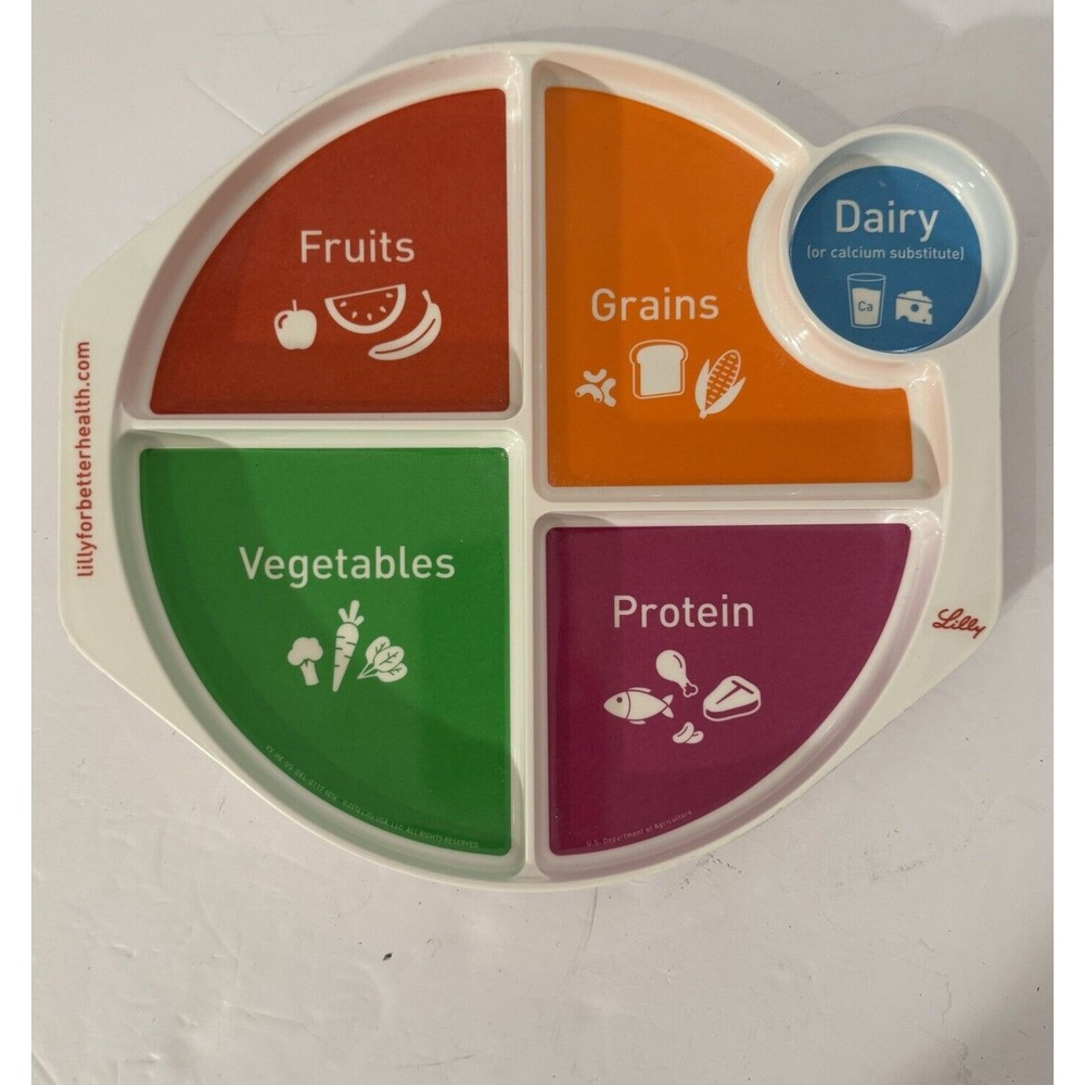 Melamine Ware Large Food Group Plate‎ Lilly For Better Health Retro-Nostalgia
